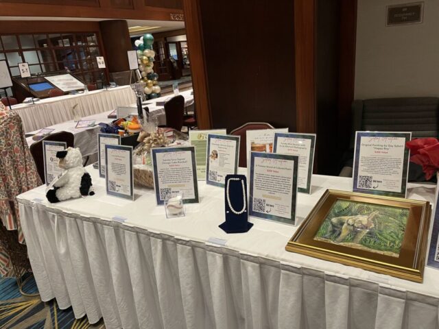 India Night 2025 - Compass for Kids India Night 2025 - Compass for Kids