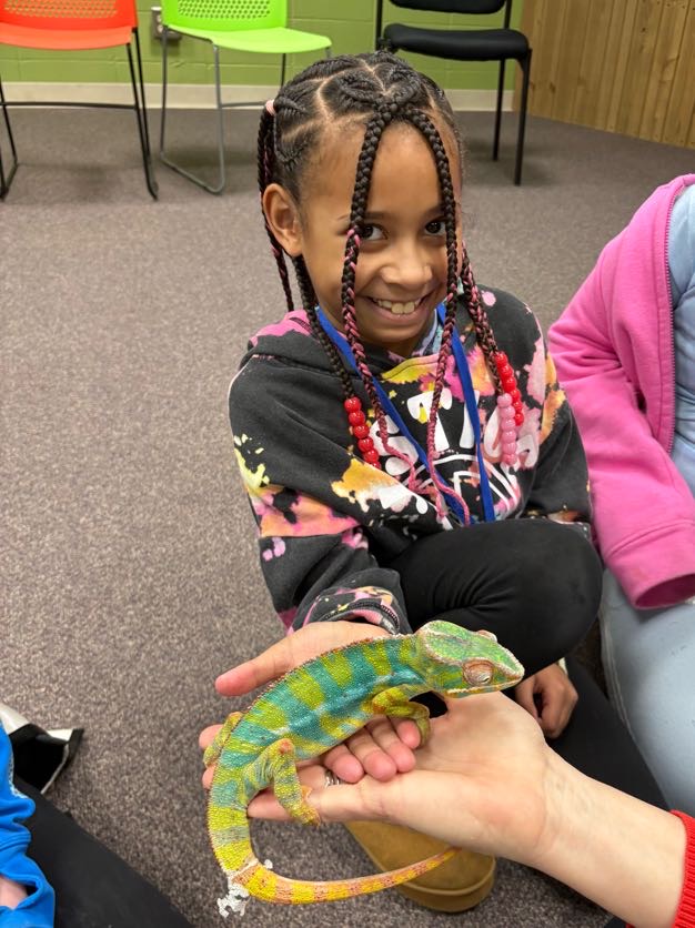 Enrichment Enrichment